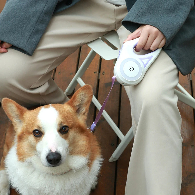 Fantastic Dog Leash Built-in Spotlight For Extra Safety